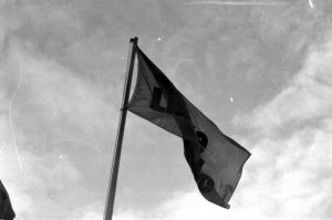 Archiv Kosinsky 2188.jpg