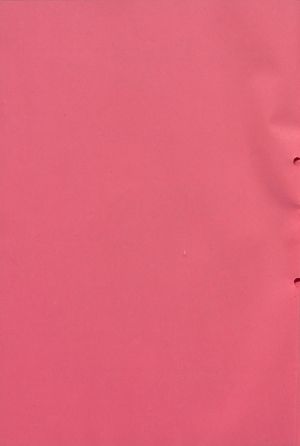 Pabst - 30257-2 0002.jpg